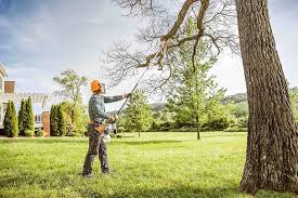 Mulching Services in Niagara University, NY