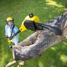 Best Lawn Watering Services  in Niagara University, NY