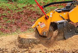 Lawn Pest Prevention in Niagara University, NY